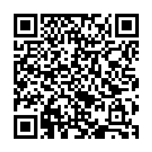 不过当看到格拉斯的表现和说出的话之后那些巨龙真的愤怒了二维码生成