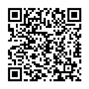 不过当第一名忍者连哼都没有哼一声就倒在地上声息全无二维码生成