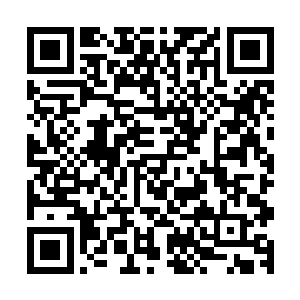 不过很快马纵横的话便将他们那脆弱而不真实的妄想给打破了二维码生成
