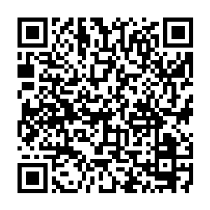 不过得需要姜凡和孟倩倩俩人一起把他如同拔萝卜一样从车里面给拉去才行二维码生成