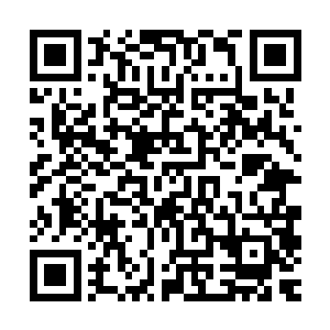 不过怕是每一个刚刚到达这片土地的修士都没有勇气直接离开的二维码生成