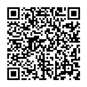 不过总觉得哪里怪怪的……我们明明是在讨论十分玄妙的人类文明未来问题二维码生成
