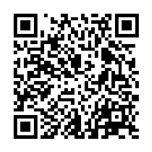 不过恐怖的力量确实压制得他们三个轮回镜没办法进攻二维码生成