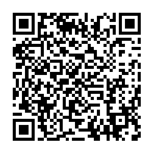 不过想着系统是会让自己一次一次地将自己不足的地方训练到优秀为止二维码生成