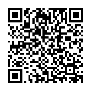 不过我之前的时候在翻阅宗门典籍的时候无意间看到了一些线索二维码生成