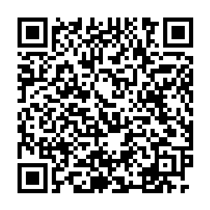 不过我们最好还是关注一下眼前这支绿色抵抗组织能够给我们带来什么二维码生成