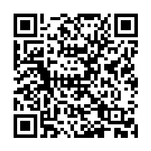 不过我会想办法用特殊神通在夏雨灵魂内留下一丝印记二维码生成