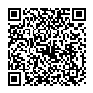 不过我感觉在我把西峰山开发区那边的实地图片和规划介绍给他们时二维码生成