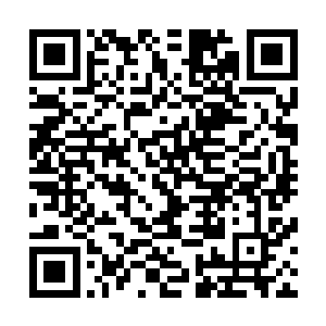 不过我敢保证在你们杀死我之前这株天蛇果我绝对会毁掉的二维码生成