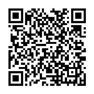 不过我现在已经确定留仙公子一定是去了云雾森林二维码生成