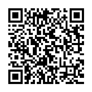 不过扣了捕捞证说实话也就是不让现在船长做为一个船长出海了二维码生成
