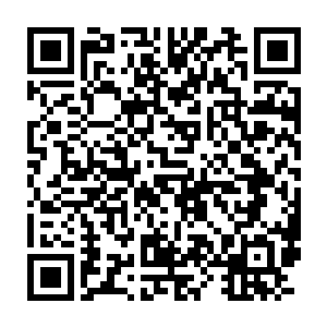 不过接下来令众人大跌眼镜的是龙家的那些人不但没有受到任何的威胁二维码生成