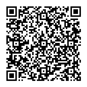 不过是潜藏在自己体内的那些曾经因为战斗留下的暗伤甚至于一些潜伏在深处的暴利因素罢了二维码生成