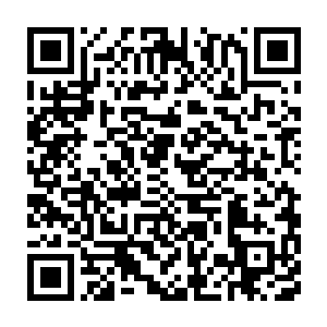 不过是这段时间一来北狱鬼王专门派人临时重建的北狱鬼王殿而已二维码生成