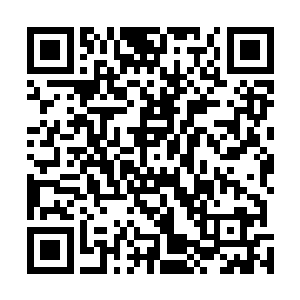 不过服务生也是率先的把清水给放置到两个人的身前位置二维码生成