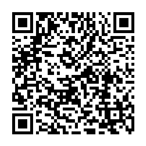 不过朱木大门前的两尊石狮子还是霸气威武的仿佛活得一般令人心下胆寒二维码生成