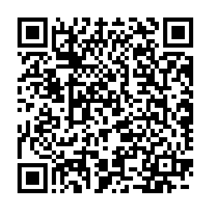 不过杨戬的表现看在元辰的眼中却是令元辰对杨戬的评价更上一层楼二维码生成