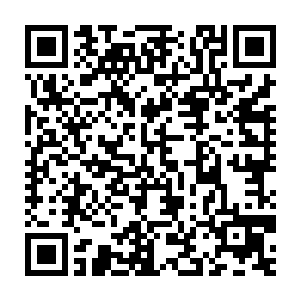 不过林封谨也不能确定阴阳家学派和六趾神秘组织的人是否还在蹲守二维码生成