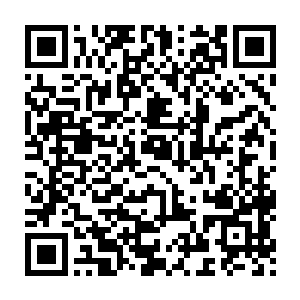 不过林封谨估计是袖子上顺手擦嘴时候抹上的孜然粉和胡椒粉的功劳二维码生成