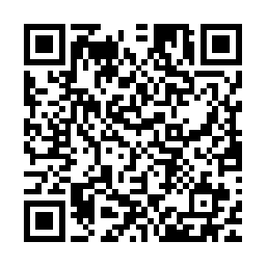 不过林辰可以从两人的身上明显看出之前一定是受了不小的罪二维码生成