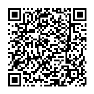 不过此刻代离并不知道蓬莱的仙引渡这里已经成了诸多势力隐性冲突的地方二维码生成