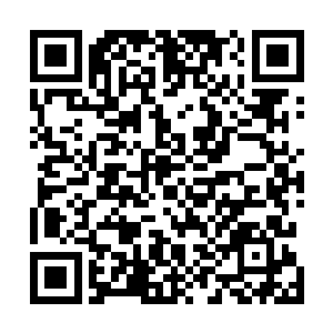 不过此时他根本控制不住自己那股气息正在牵引着轮回塔二维码生成