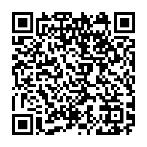 不过此时因为华阳宗和神机宗一下子死去了十二个筑基期大圆满修为的修士二维码生成