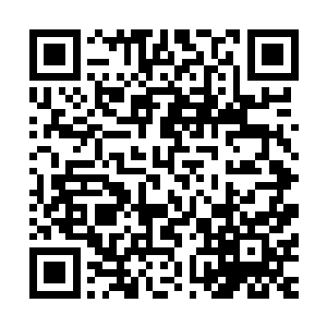 不过此时萧凤已经被我安排到郊区别墅和六将他们一块行动了二维码生成