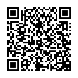 不过此时虽然说杨戬化龙的状态看上去十分的震撼充满了压迫性二维码生成