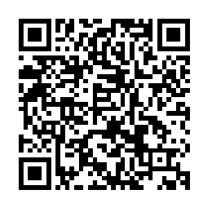 不过沈丽缇这一掐倒是把他从刚才那莫名的驿动中拉回到了现实二维码生成
