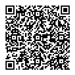 不过流墨墨的心绪下一刻就被其他九名选手的震惊和那灼灼宛如实质的目光弄的有些惊凝了起来二维码生成