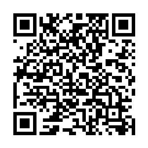 不过测试也只是需要根据入江正一的提示推推扶手按按按钮二维码生成