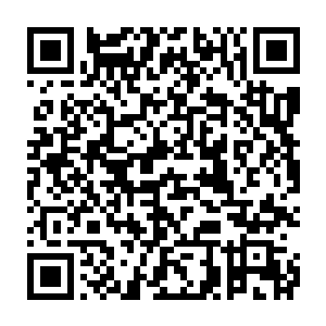 不过环绕在千里之外的修真者们虽然被若相离的一番警告暂时止步二维码生成