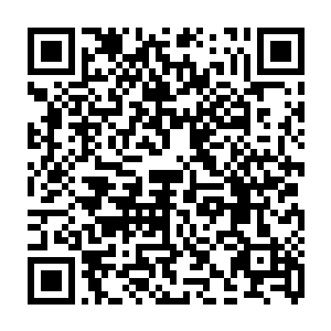 不过现在这个景像是第一次发生连崔和奥里布两位教授都说不出确切的时间来二维码生成
