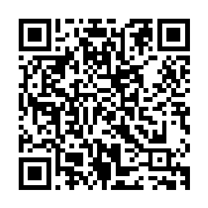 不过珍妮忙碌而单调的工作显然不能让他们获得什么有趣的素材二维码生成