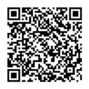 不过珍妮现在关心的不是这些――她和玛丽在谈的是她该付给克里斯的支票二维码生成