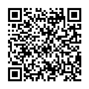 不过珍稀的宝贝不会就这样不经宣布就拿出来进行拍卖二维码生成