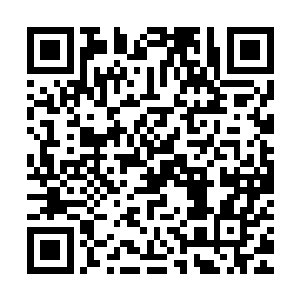 不过由于力气相差悬殊硬生生的把瞪腿的动作变成了老鹰捉小鸡二维码生成