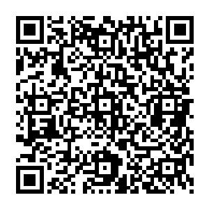 不过的搏斗之前我和鲨鱼伙计交流了一下没有等我动手它自己主动提出要送我到船边的……二维码生成