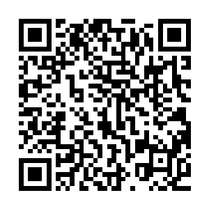 不过看他一张娃娃脸跟部落那些没长大的娃娃一样也没有太在意二维码生成
