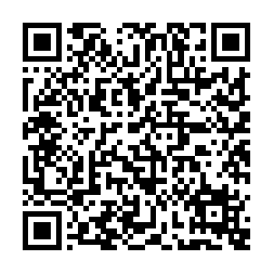 不过看你这么急我今天就亲自带你去测试一下你究竟适合修炼什么类型的灵术二维码生成
