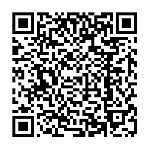 不过看着里面一个个的透明格子里仙人明显没有看到他们迅速靠近的模样二维码生成