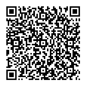 不过绿洲乐队的两位主唱加拉格尔兄弟对场地情况十分不满――酒吧最多只能容纳不到一百五十人二维码生成