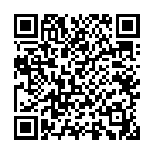 不过罗天一却不知道张潇晗的修为提升可不因为单一的灵丹二维码生成