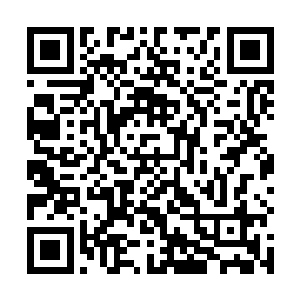 不过能去看看魏燕那个十分没用的继父亲也是一个办法二维码生成