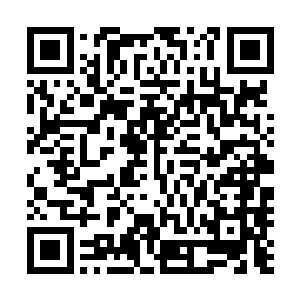 不过脸上神经末梢还没有延伸到对肌肉如此细微的控制程度二维码生成