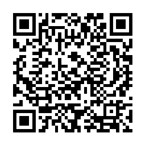 不过苏凡估计就算埃文真的说过这句话也会死不承认二维码生成