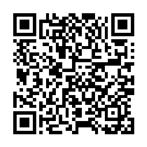 不过蟾蜍大仙似乎在大山里藏了千年的宝藏等着我们去挖掘二维码生成