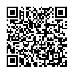 不过让叶尊无奈的是他依旧没有得到有价值的线索二维码生成