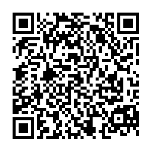 不过话又说回来了――她不会是要蹲在行李区的笼子里完成整个路程吧二维码生成